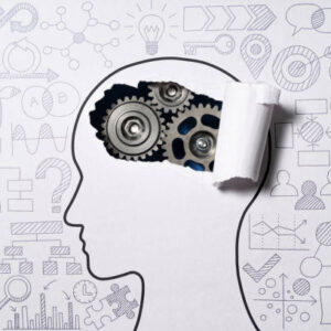 Logical reasoning and data interpretation: CAT 2025