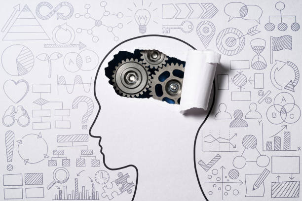 Logical reasoning and data interpretation: CAT 2025